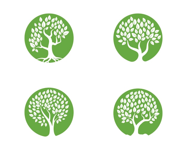 Logotipos de la naturaleza verde de la ecología de la hoja del árbol