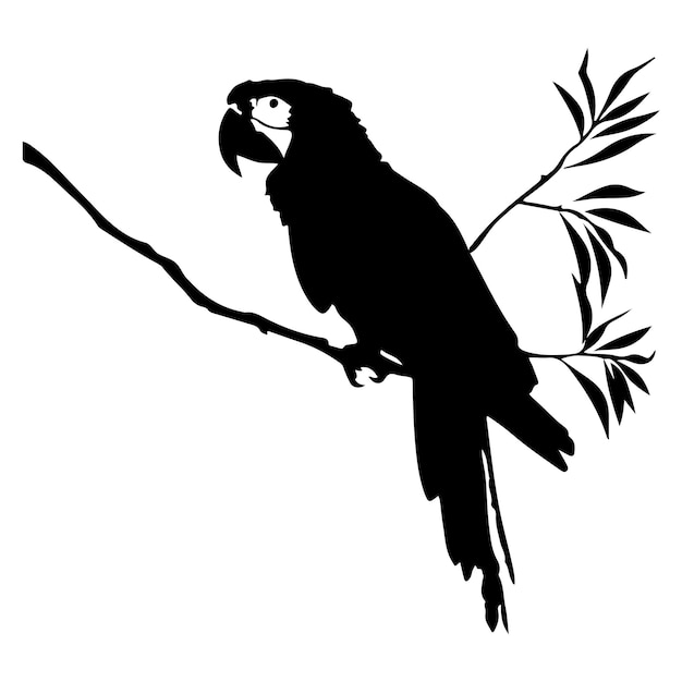 Loro adulto de silueta negra de la cocatiela gris normal
