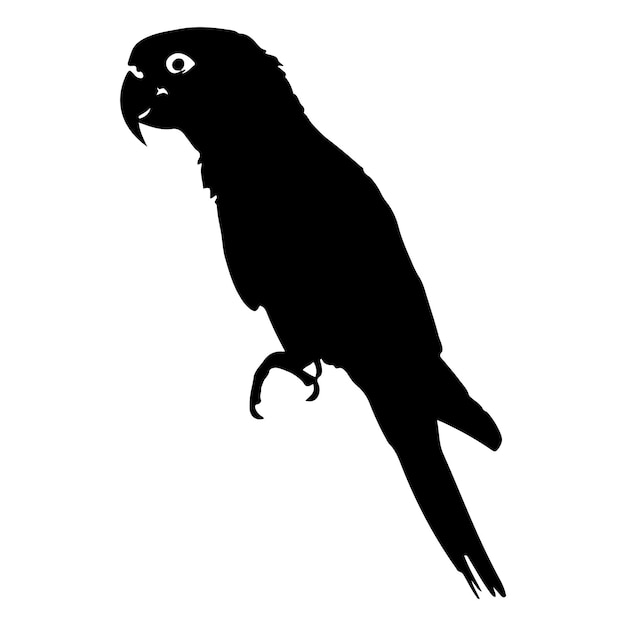 Loro adulto de silueta negra de la cocatiela gris normal