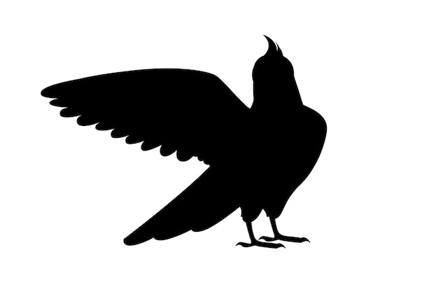 Vector loro adulto silueta negra de cockatiel gris normal mirándote y batiendo sus alas