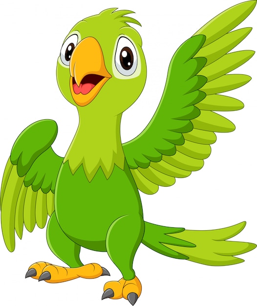 Loro feliz de dibujos animados aislado sobre fondo blanco