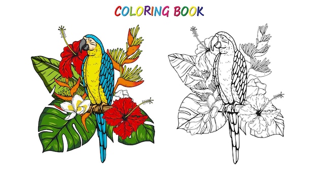 Loro guacamayo en verano para colorear libro