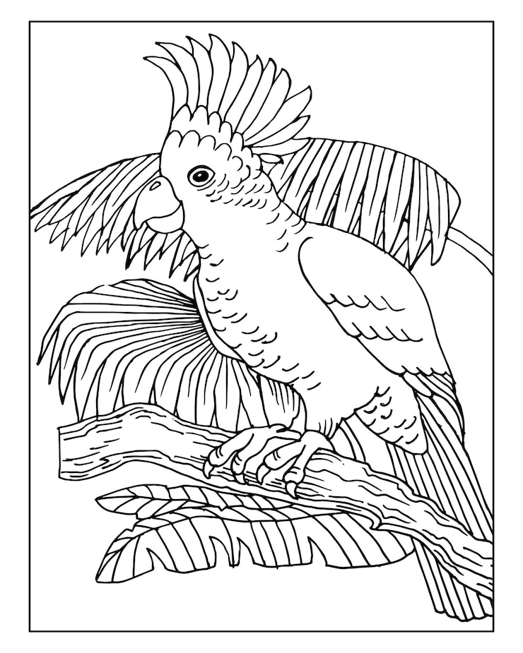 Vector loro lindo dibujado sobre fondo de hojas tropicales, boceto