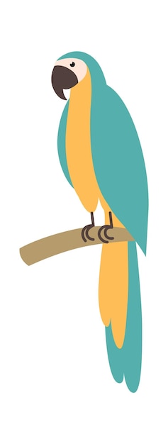 Loro en una rama pájaro africano ilustración vectorial