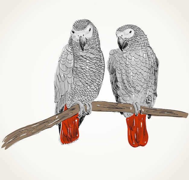 Loro
