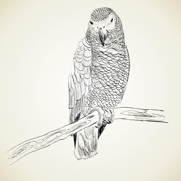Loro