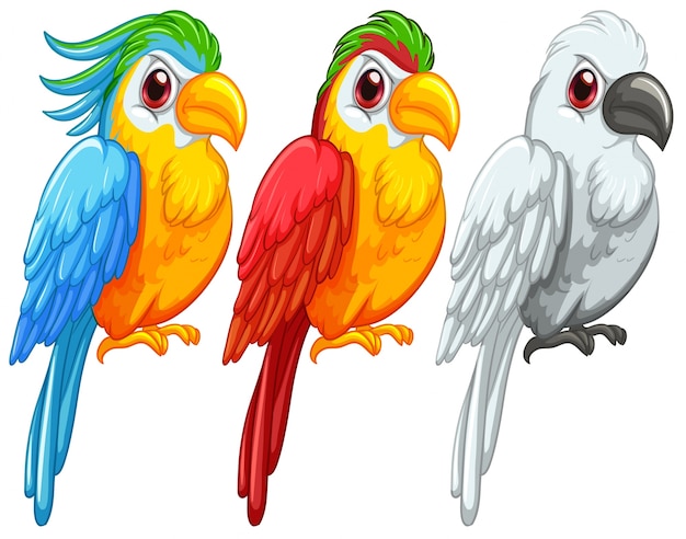 Loros