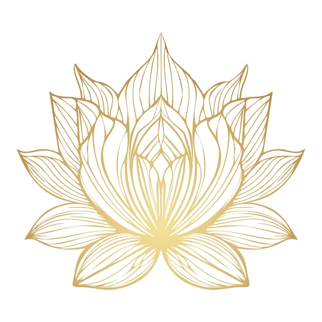 Loto dorado aislado sobre fondo blanco Ilustración vectorial dibujada a mano para invitaciones de boda