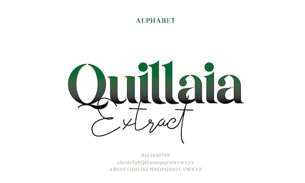 Lujo elegante alfabeto letras fuente clásico moderno serif letras moda minimalista vector premium