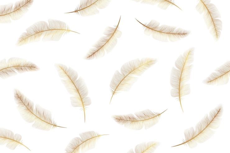 Vector lujo moderno de fondo negro con plumas doradas en un blanco