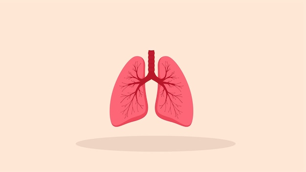 lungs design flat design simple minimal