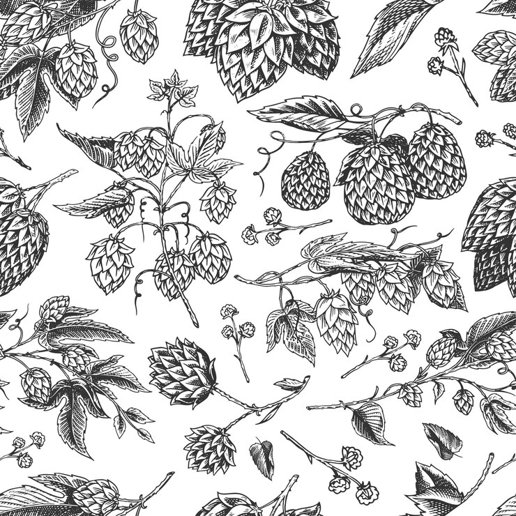 Vector lúpulo y cebada patrón sin costuras cerveza de malta grabado vintage colección dibujada a mano boceto para cartel de menú web o pub o banner elementos de diseño aislados sobre fondo blanco