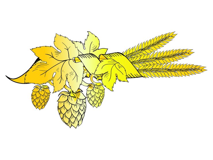 Vector lúpulo vectorial
