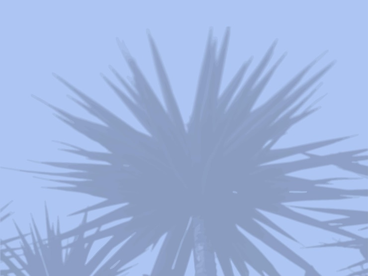Vector la luz natural proyecta la sombra de las hojas de palma en la maqueta vectorial de pared azul