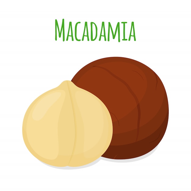 Macadamia organica