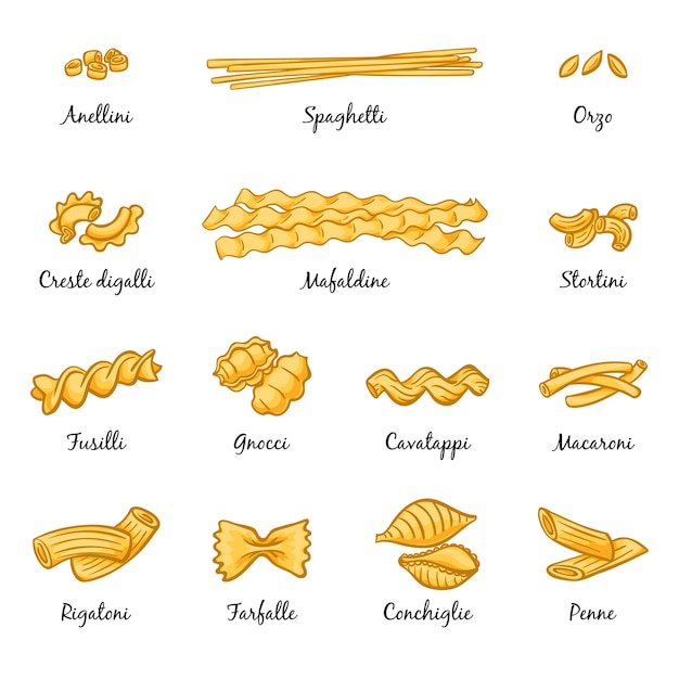 Vector macarrones, espaguetis y otros tipos de pasta italiana. imágenes aislar en blanco. comida de cocina italiana, ilustración de espaguetis de tipo tradicional