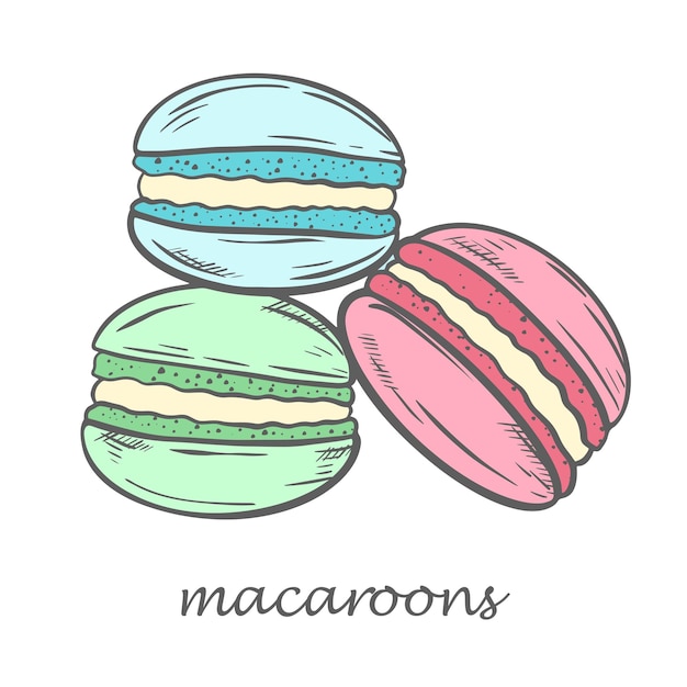 Vector macarrones tradicionales franceses dibujados boceto ilustración vectorial dibujo a mano dulces tiernas galletas lindas