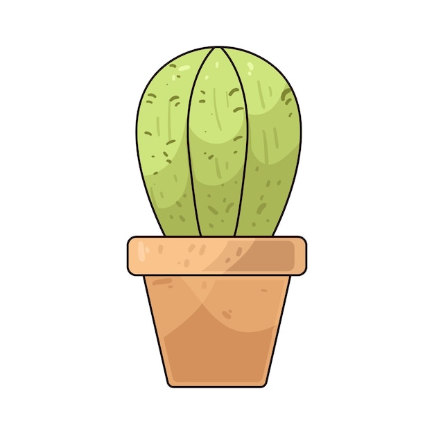 maceta de cactus