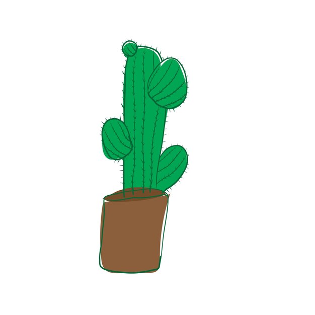 Maceta de cactus