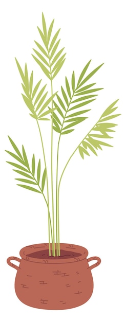 Maceta con planta en crecimiento Decoración botánica de la selva exótica aislada sobre fondo blanco