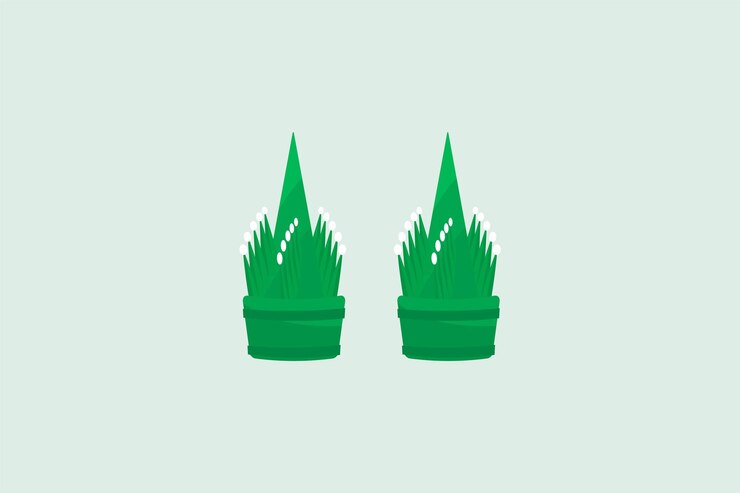 Vector una maceta verde hecha de hoja de plátano para rezar