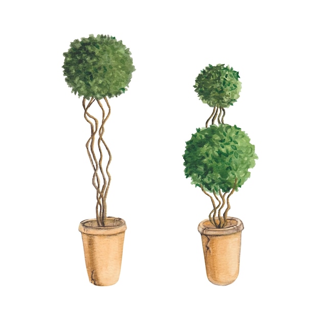 macizos de flores decorativas de acuarela con plantas de diseño