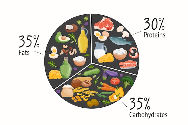 Macronutrientes Carbohidratos proteínas grasas presentadas Ilustración vectorial de categorías de nutrición