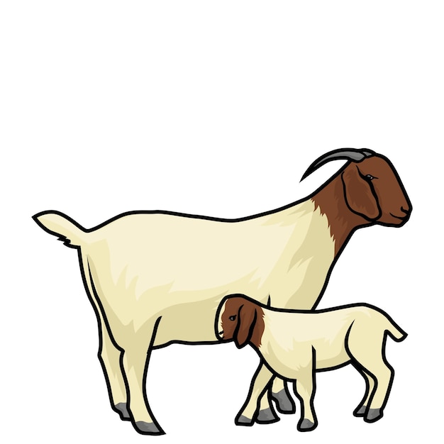 Madre cabra boer con su hijo