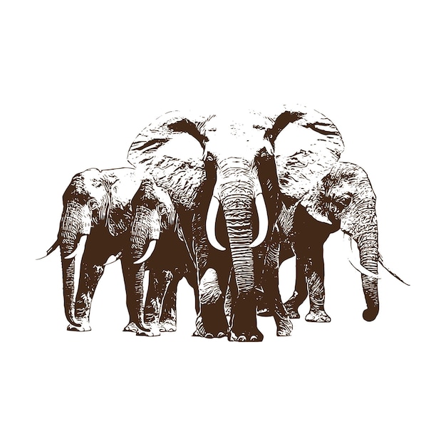 madre elefante y bebé Vintage animal ilustraciones vectoriales y aisladas
