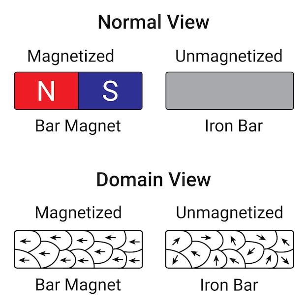 Magnetizado y no magnetizado. Vista normal y vista de dominio. Lecciones de física.