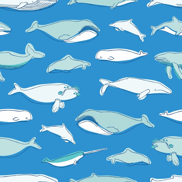 Magnífico patrón sin costuras con varios mamíferos marinos acuáticos dibujados a mano: ballenas, narval, delfín, cachalote