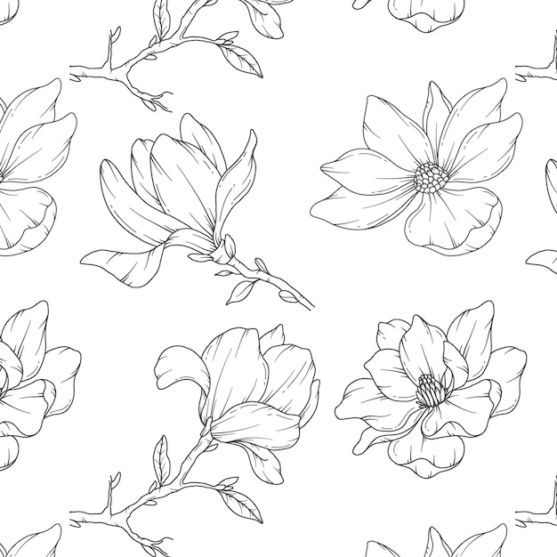 Magnolia dibujada a mano Fondo Magnolia Patrón sin costuras Gráficos de moda Magnolia Línea Arte Primavera