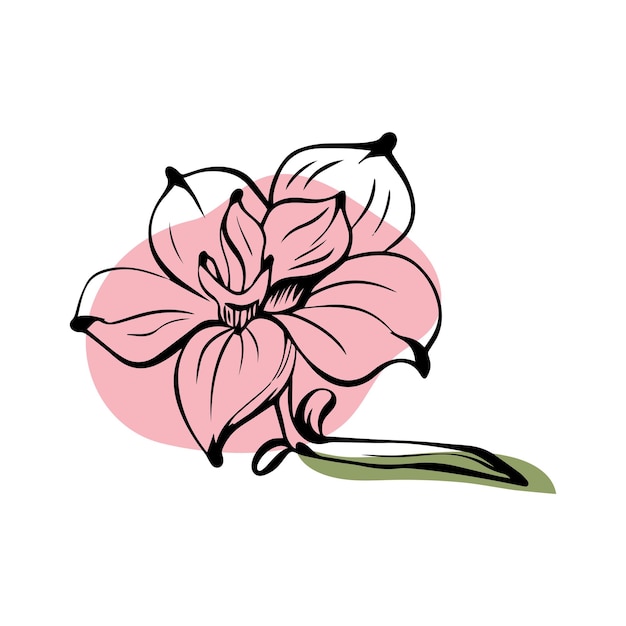 Magnolia en estilo boceto con formas de colores abstractos dibujadas a mano aisladas sobre un fondo blanco