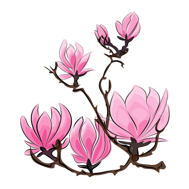 Vector magnolia una ramita con flores y brotes rosados pintura japonesa estilo oriental sstkabstracto