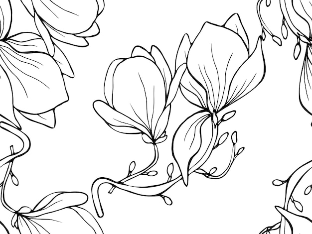 Magnolia y sus derivados