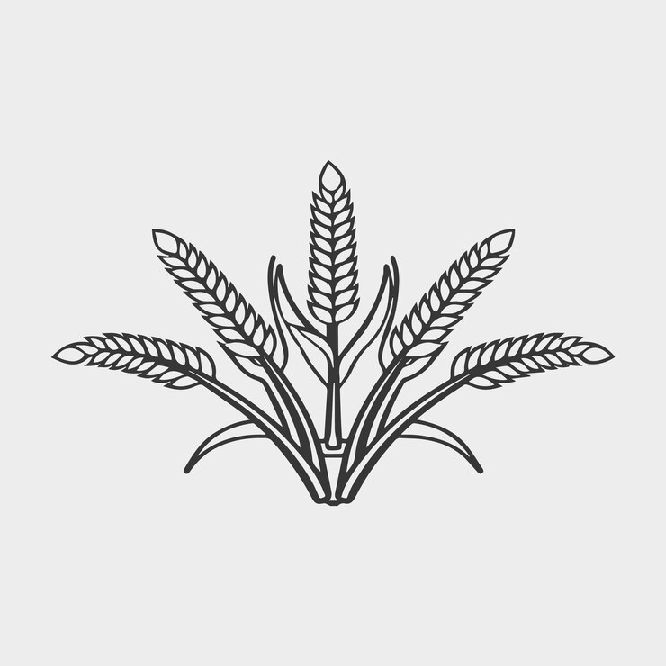 Vector maíz para colorear página de maíz dibujado a mano en blanco y negro para niños