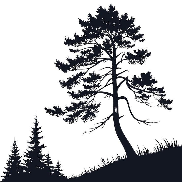 Vector majestic pine tree silhouette dark moody forest scene vector art