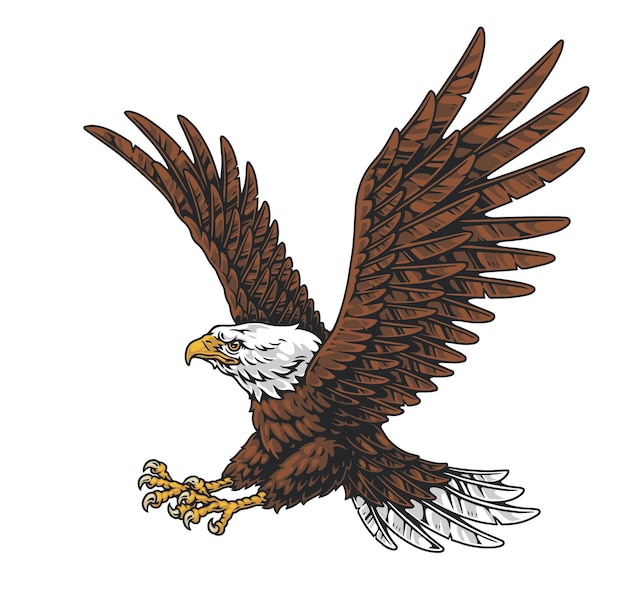 El majestuoso águila volando por el cielo