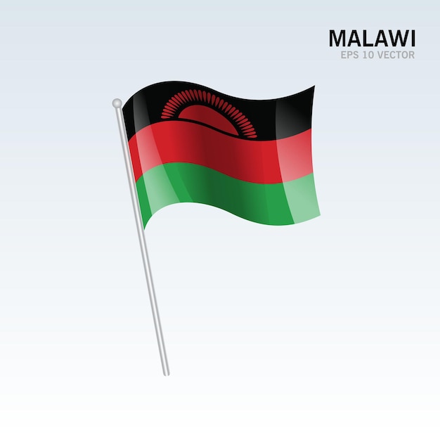 Vector malawi ondeando la bandera aislado en gris