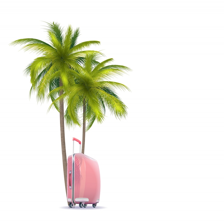 Vector maleta de palma y rosa
