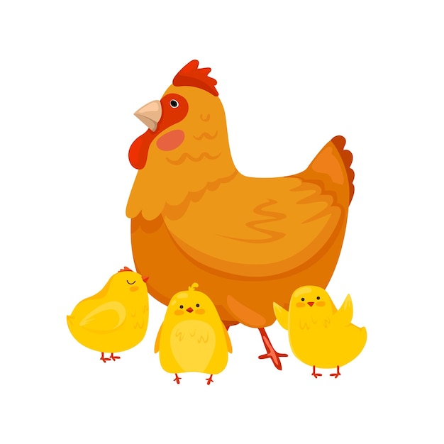 Una mamá gallina camina con sus pollitos recién nacidos
