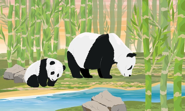 Vector una mamá panda y su cachorro caminan a través de un bosque de bambú a lo largo de la orilla de un río animales asiáticos china
