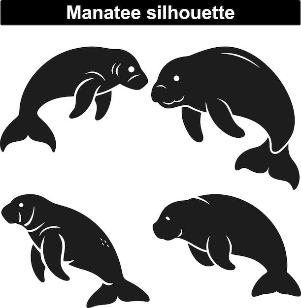 Manatí
