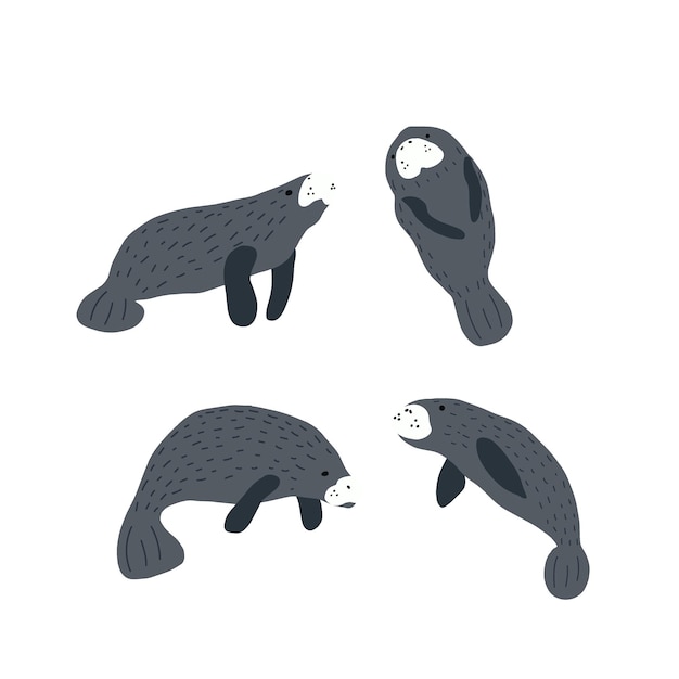 Manatíes estilo escandinavo bajo el mar Concepto Save the manatee Diseño de personajes