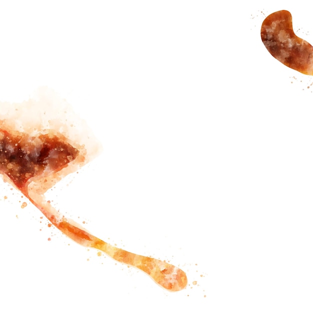 Manchas de café vectorial sobre fondo blanco