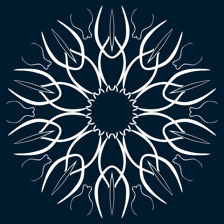 Mandala 9