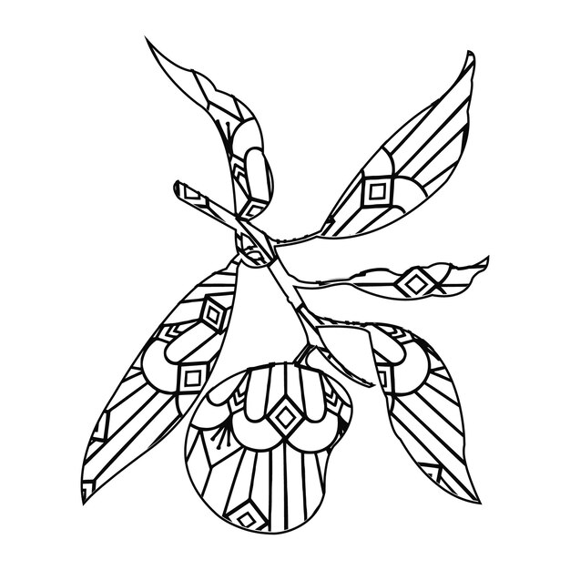 Mandala Mango Página Para Colorear Para Niños