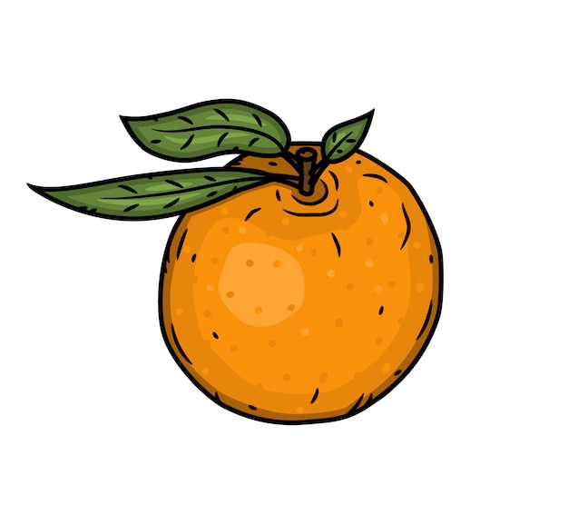 Vector mandarina aislado sobre un fondo blanco.
