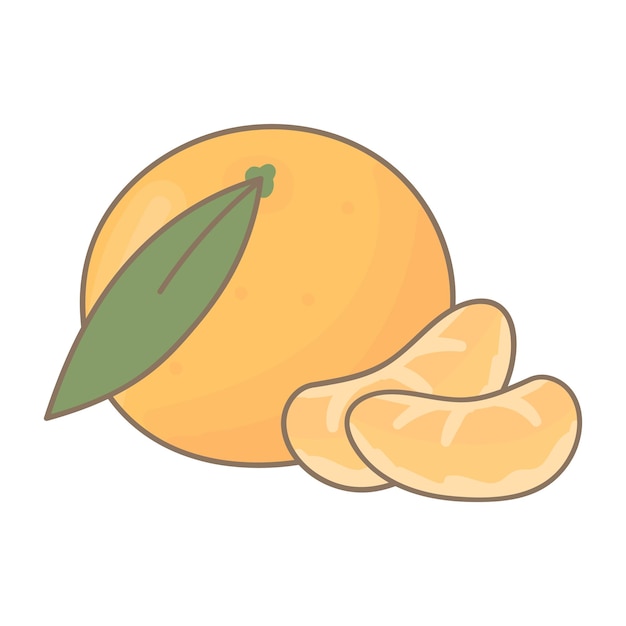 Mandarina dibujada a mano con hoja. Comida de diseño de dibujos animados, colección de elementos de frutas. Comida natural.
