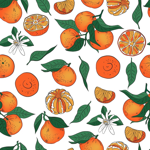 Mandarina naranja con patrón de vector de hojas